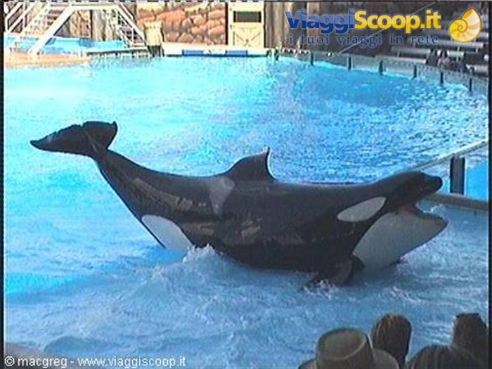 Sea World