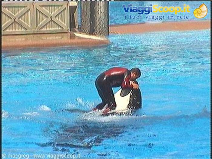 Sea World