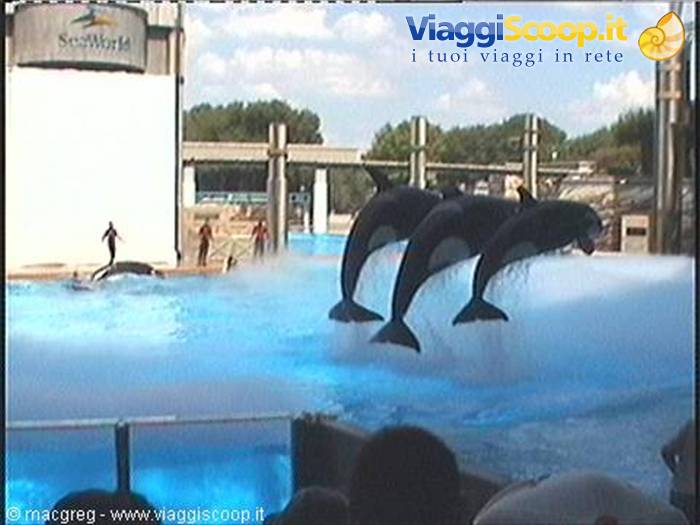 Sea World