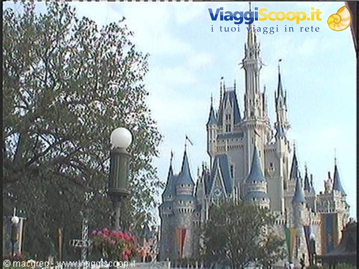 Magic Kingdom