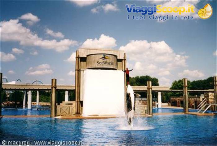 Sea World
