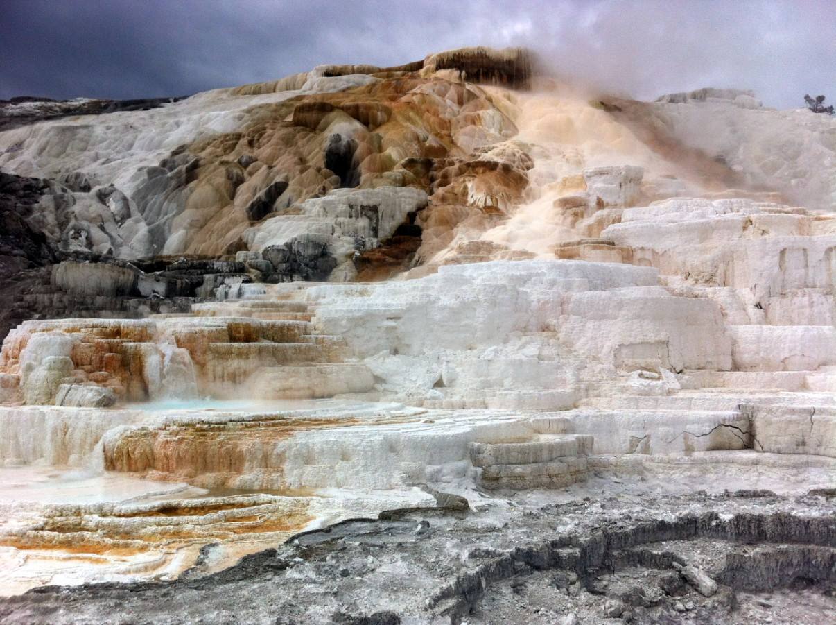 Yellowstone Mammoth 