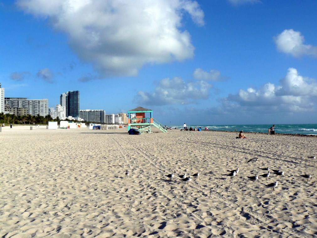 Miami Beach