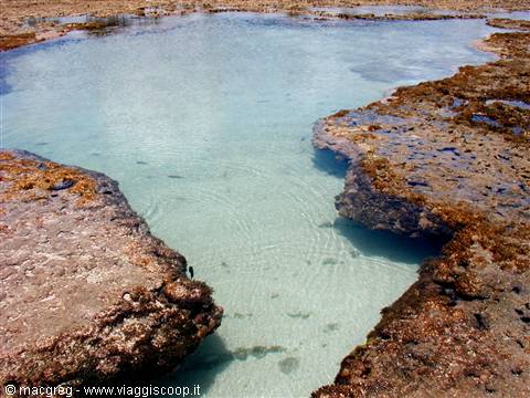 Piscine naturali