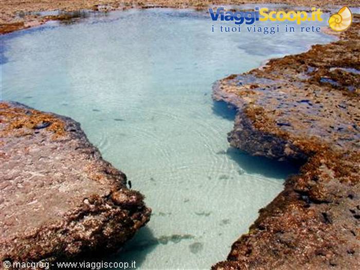 Piscine naturali