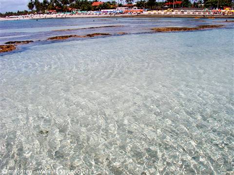 Piscine naturali