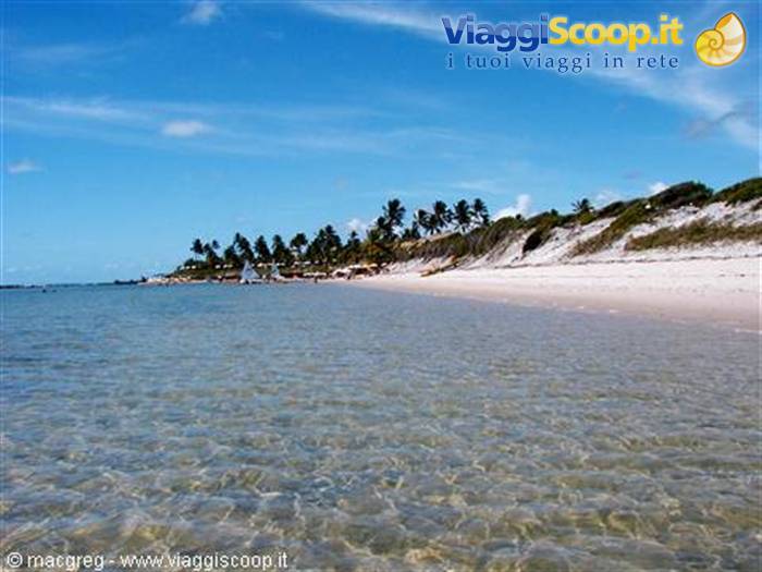 Praia Muro Alto
