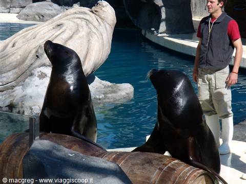 Zoo Acquario
