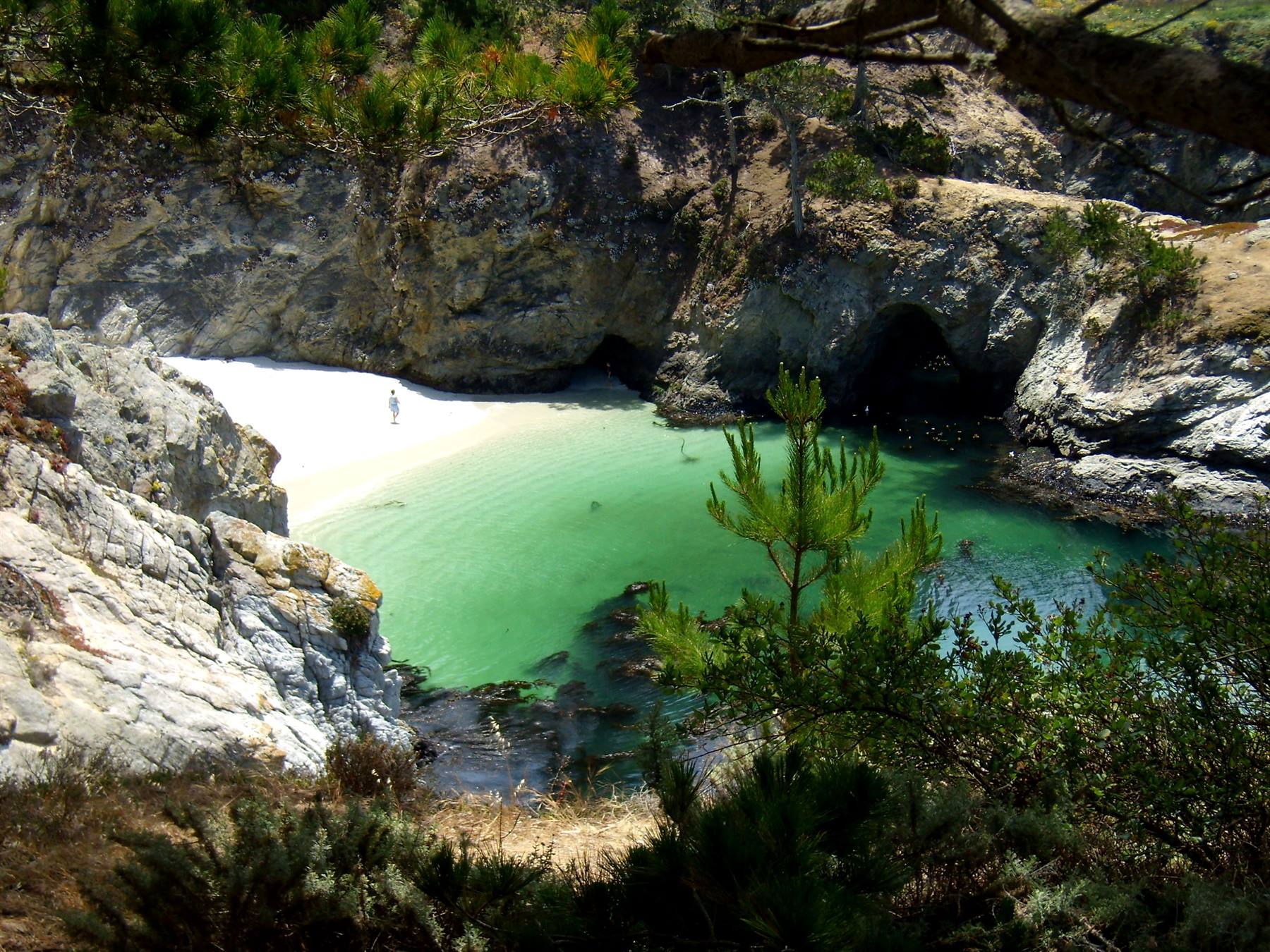 Point Lobos