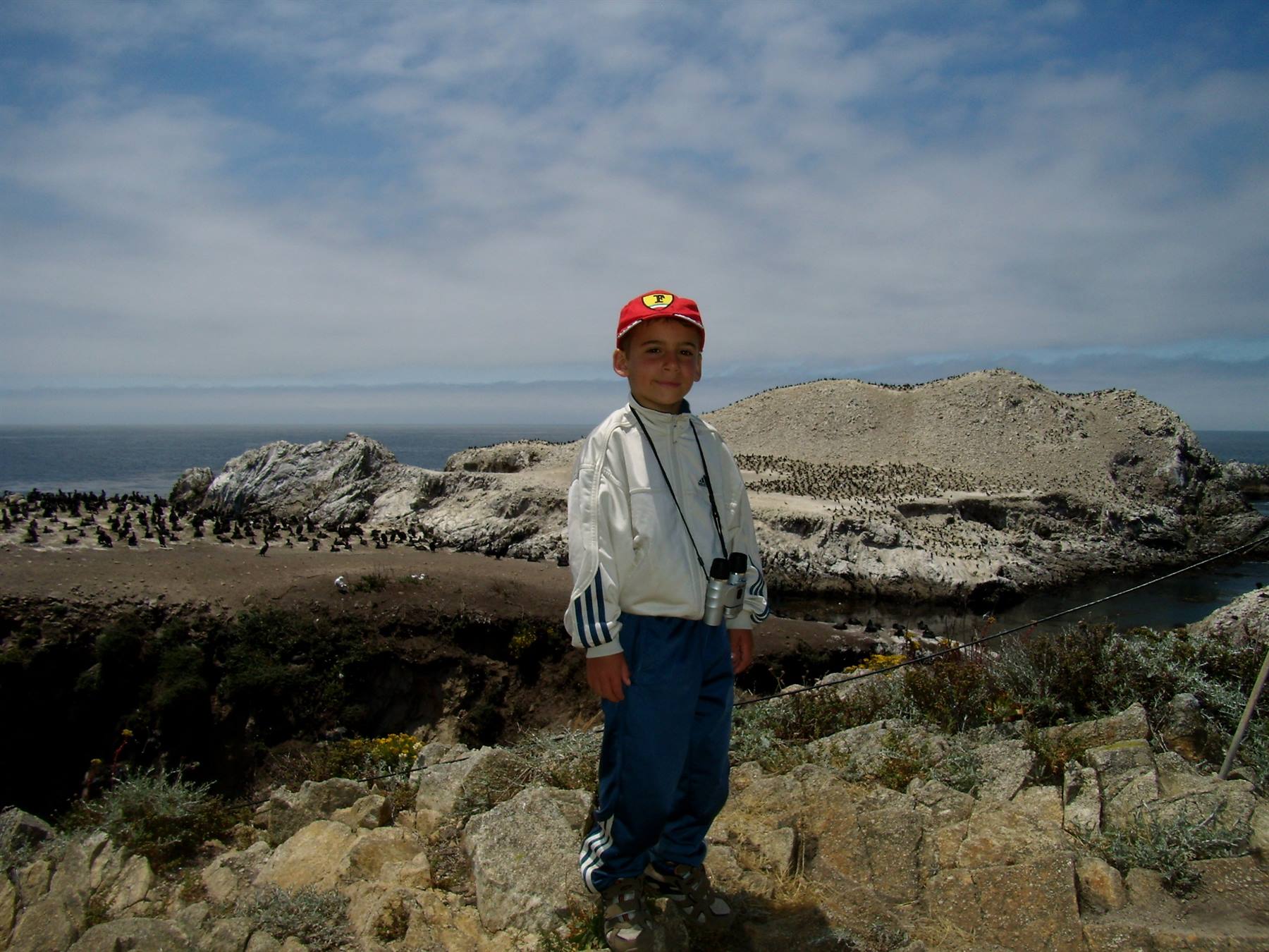Point Lobos