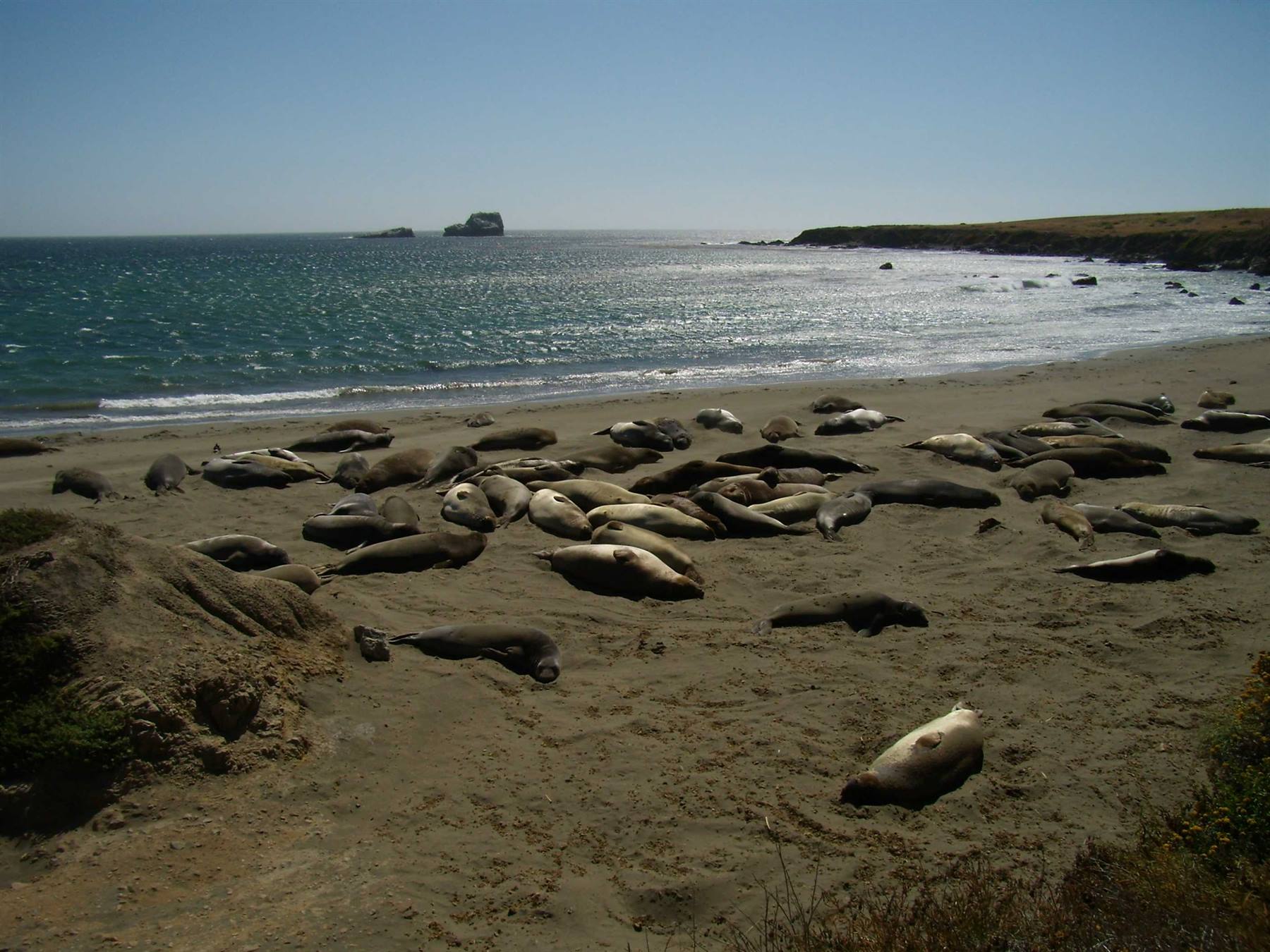 Piedras Blancas