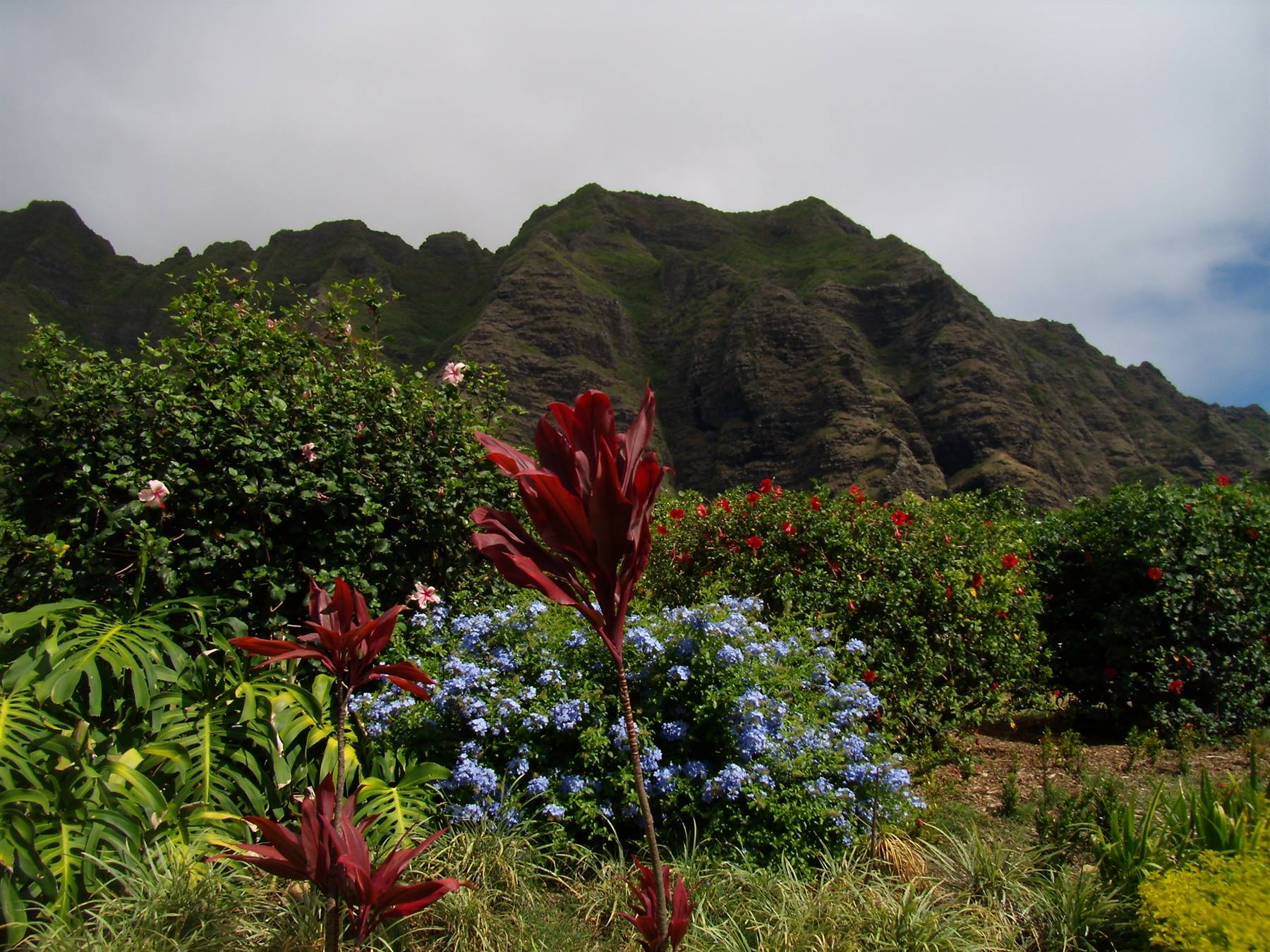 Jurassick Park set
