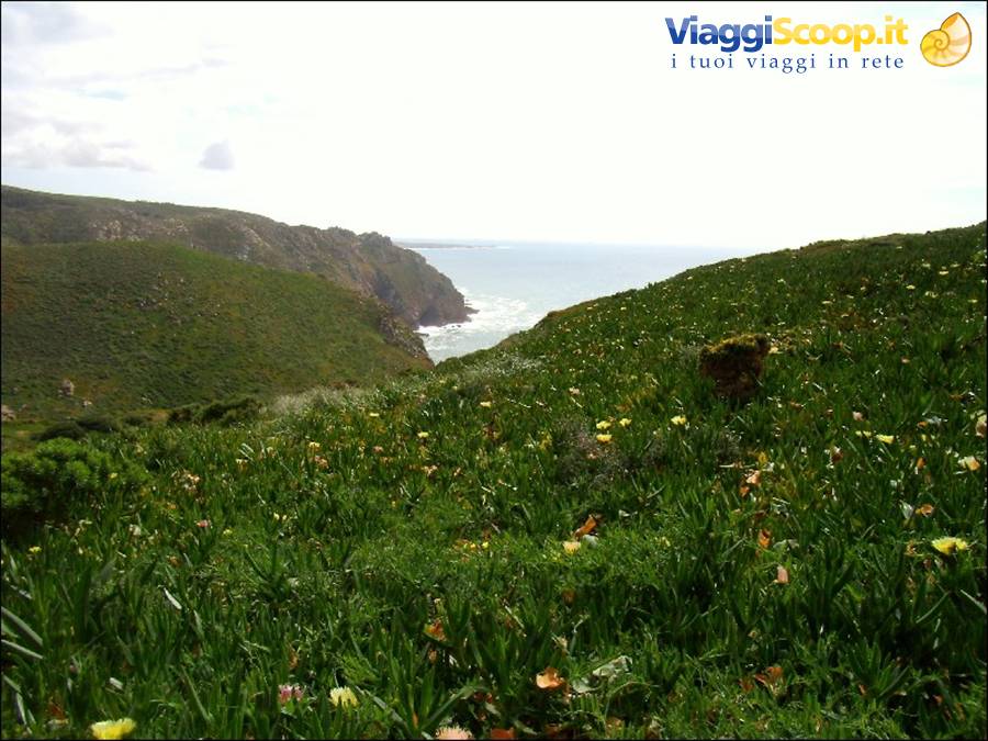 Cabo de Roca
