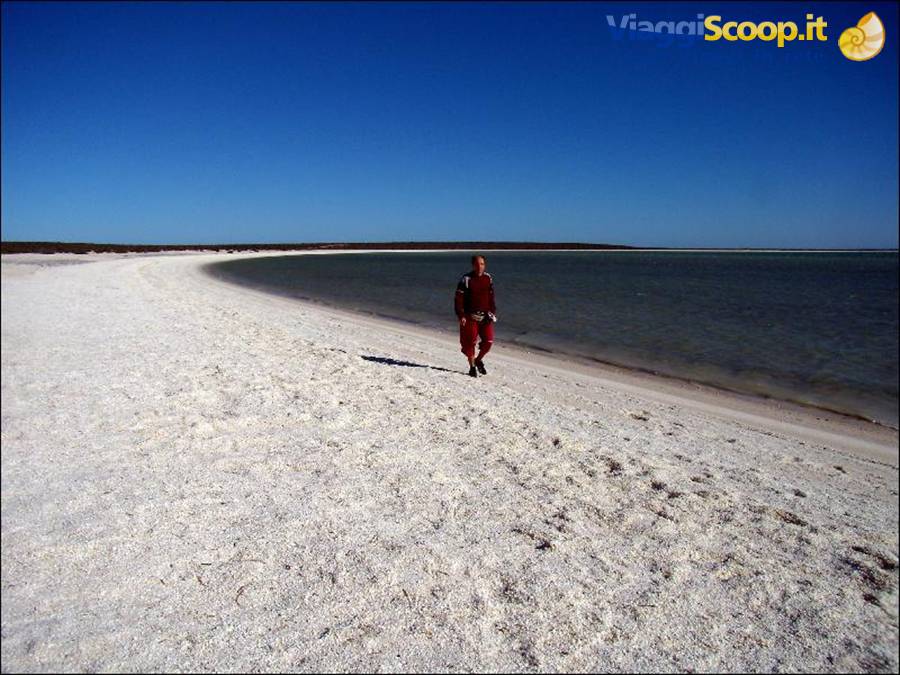 Shelly Beach