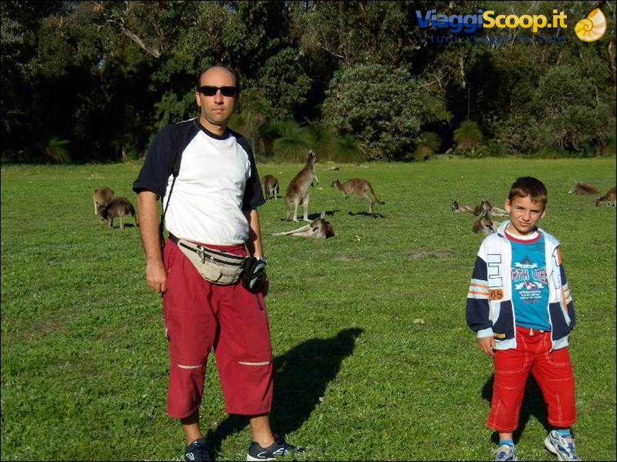 Yanchep