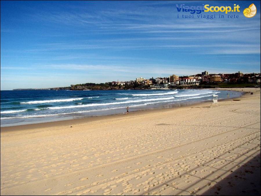 Bondi Beach