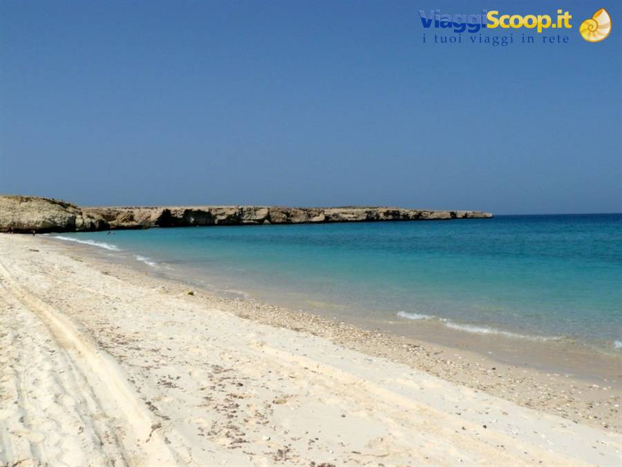 white beach