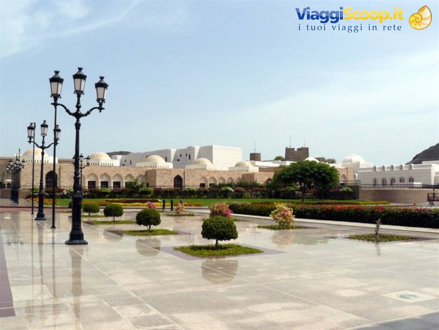 muscat