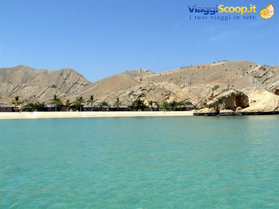 oman dive center