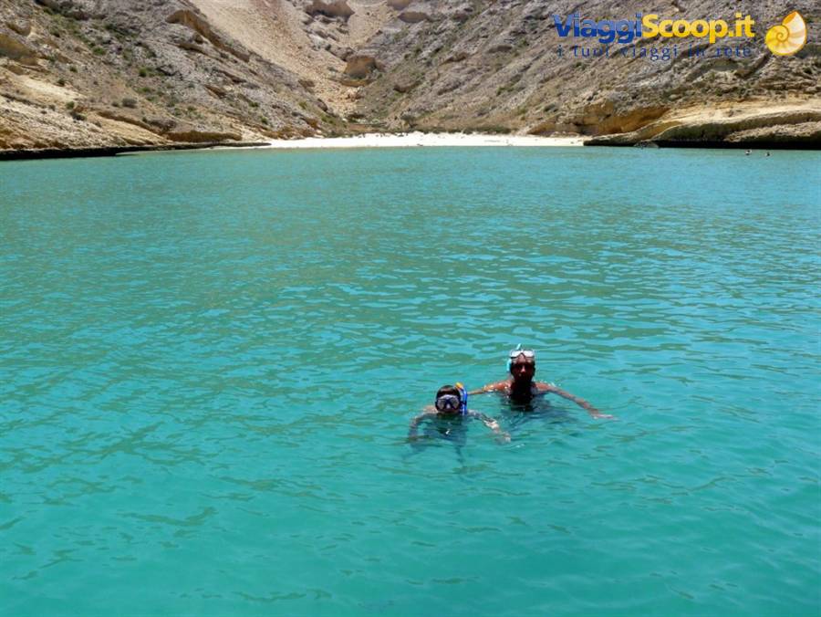 oman dive center