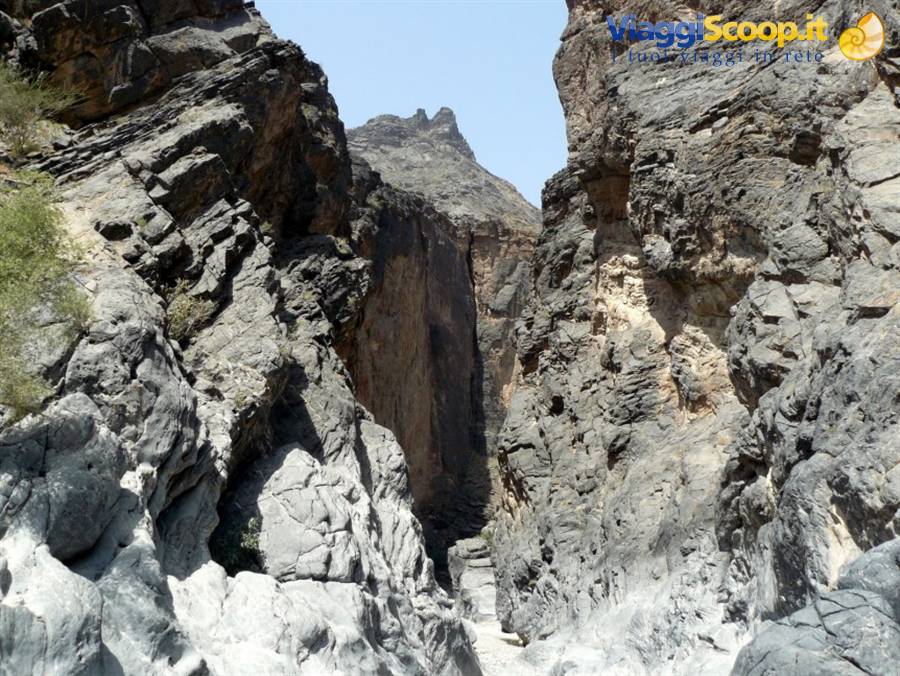 wadi bani awf