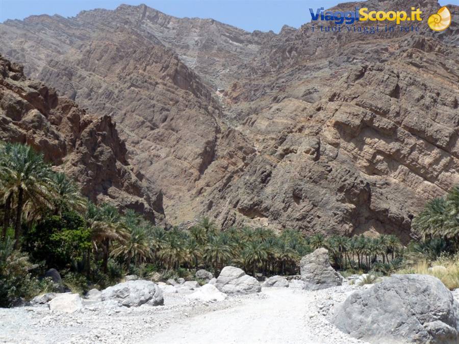 wadi bani awf