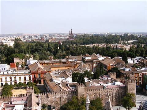 Vista dalla Giralda
