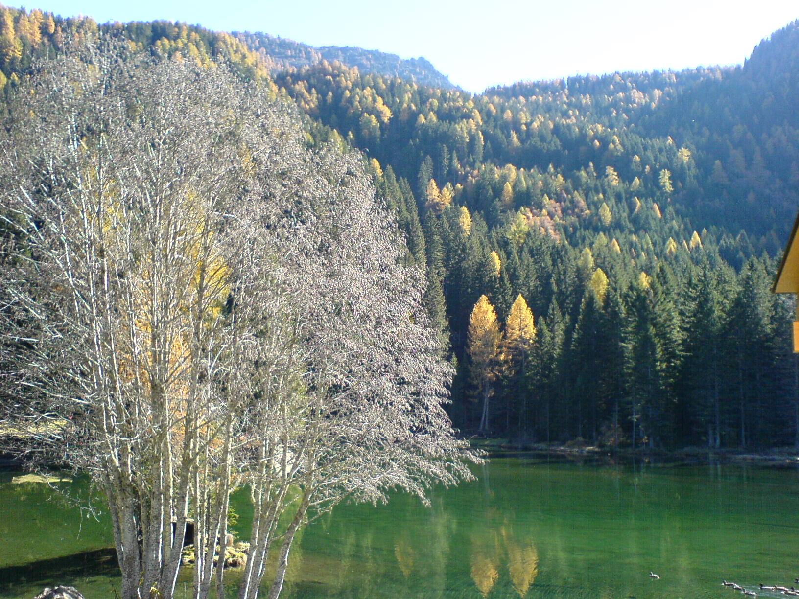 lago dei caprioli