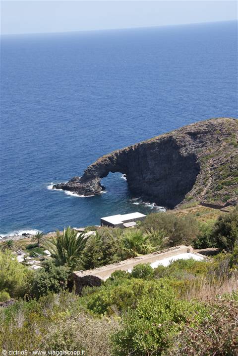 Arco dell'elefante