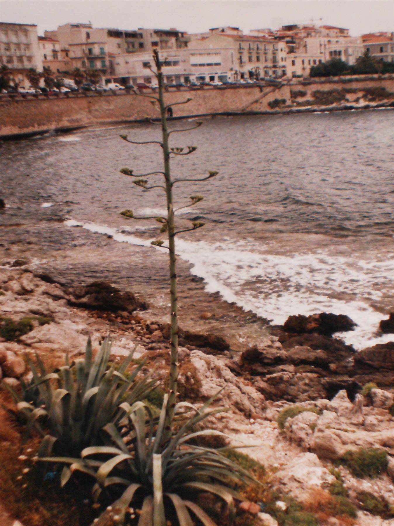 Alghero