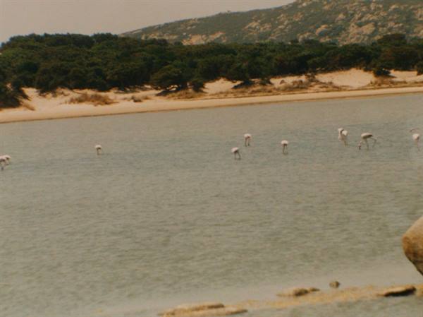 Capo Spartivento