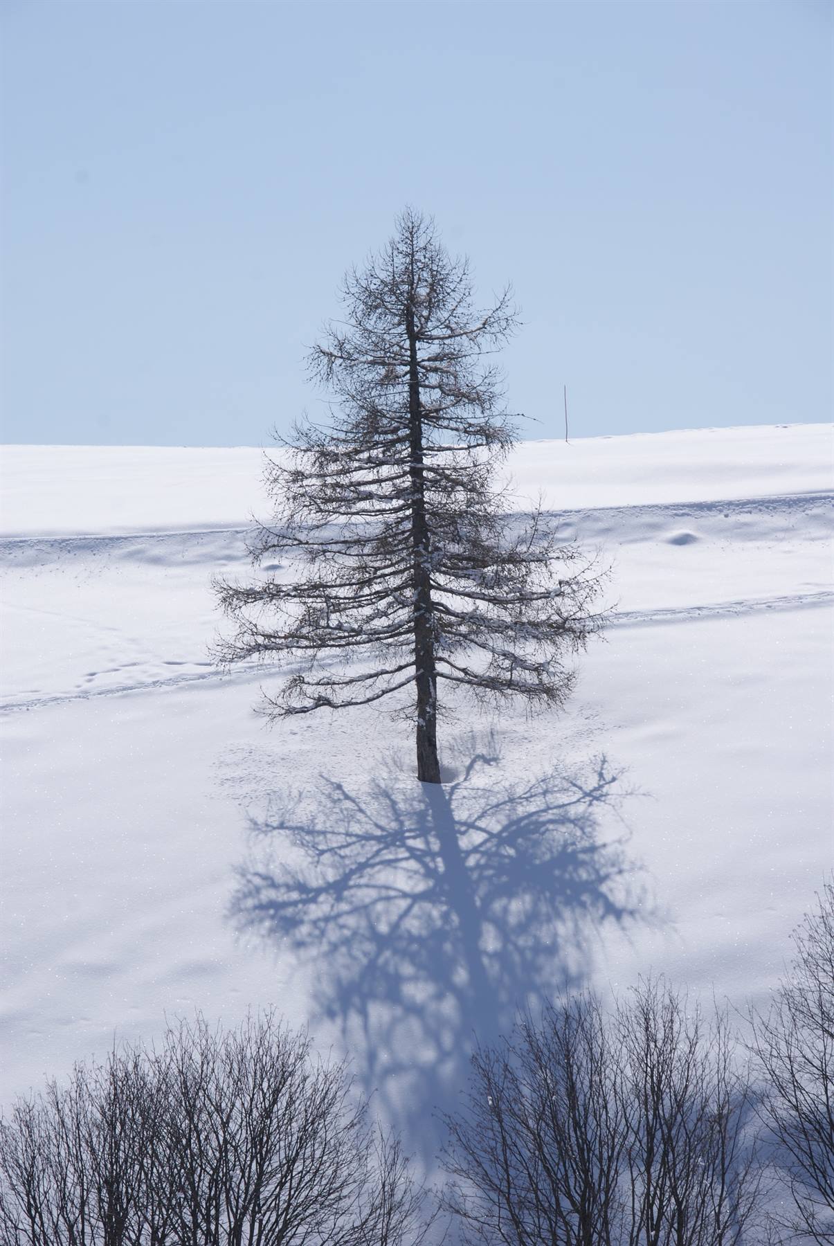 Foto di viaggio in ITALIA