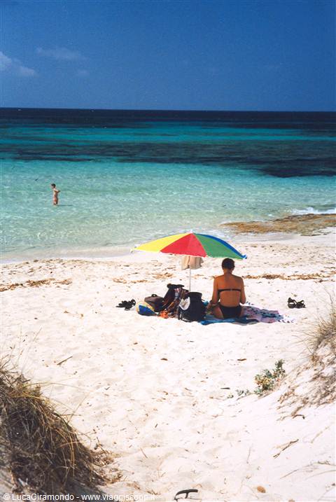 Playa de Migjorn