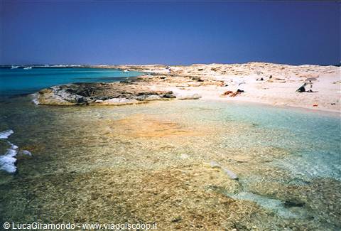 Playa de Ses Illetas