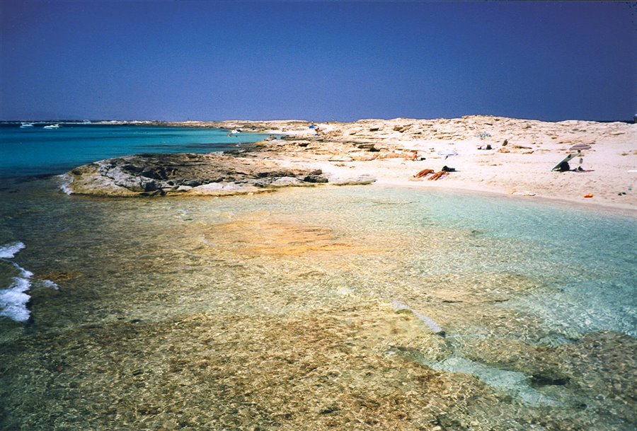 Playa de Ses Illetas