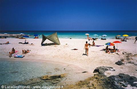 Playa de Ses Illetas