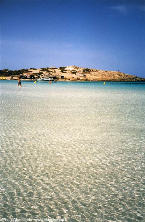 Playa de Ses Illetas