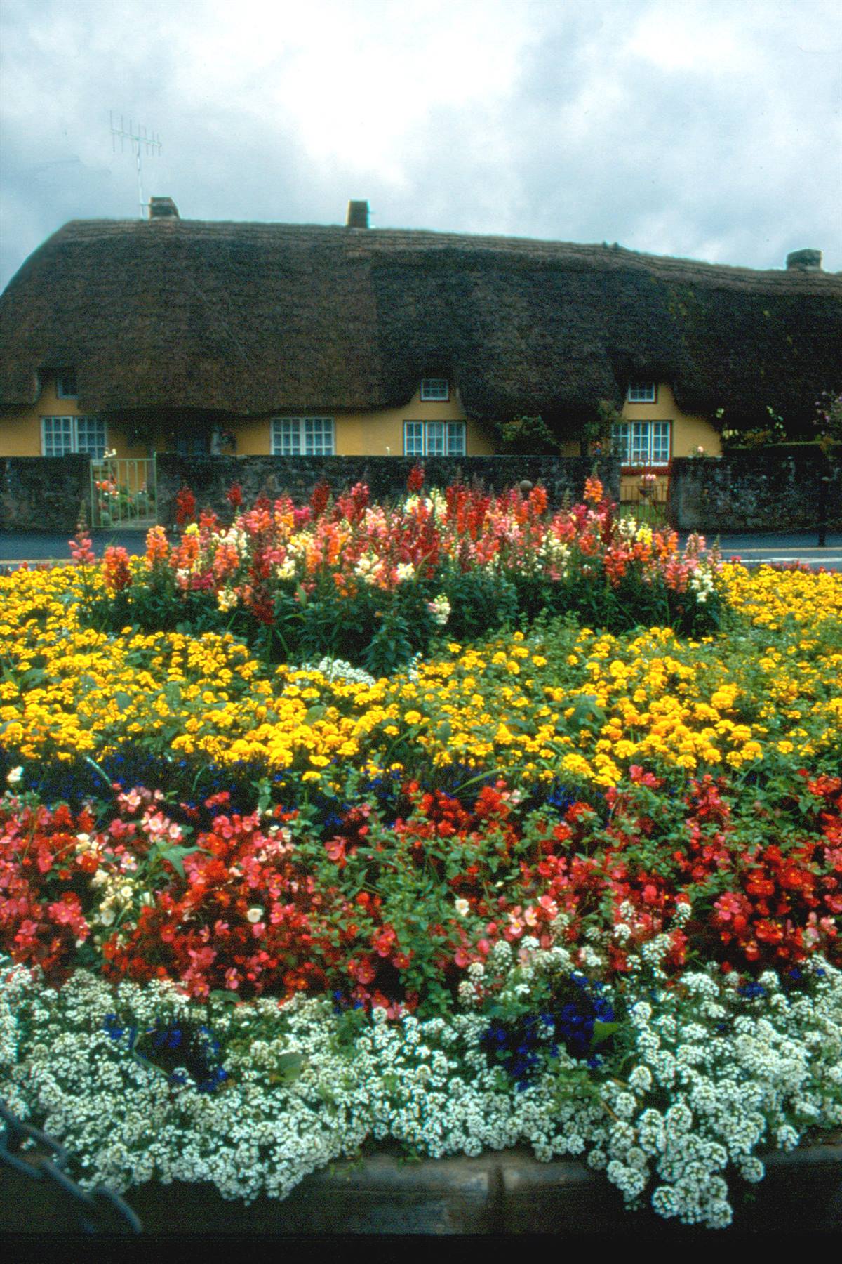 Adare