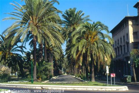 Palma de Maiorca