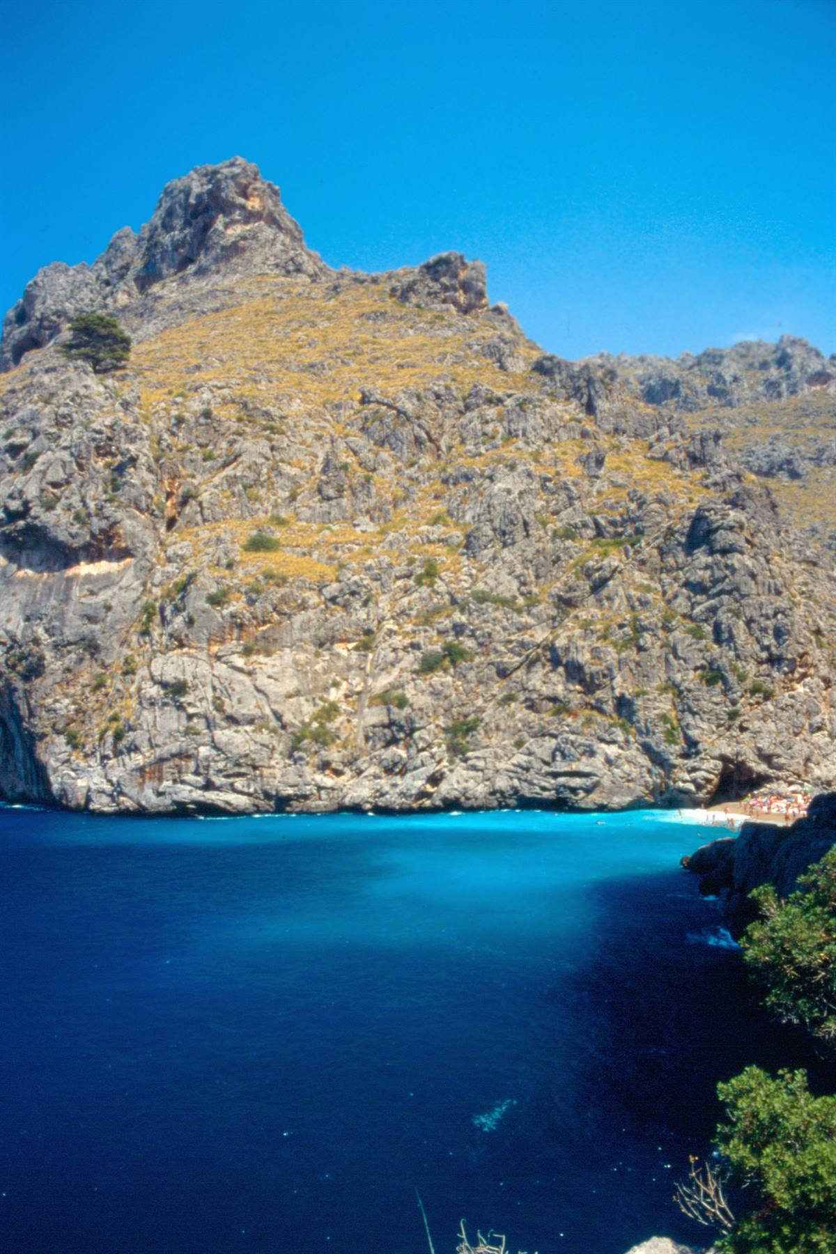 Torrent de Pareis