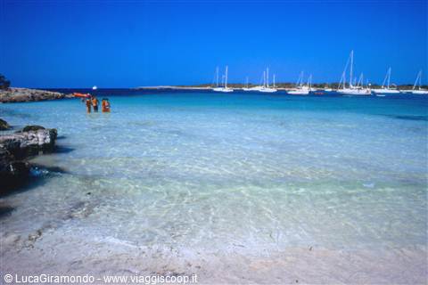 Playa de Son Saura
