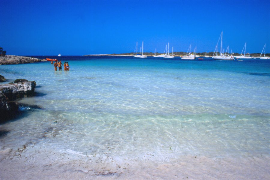 Playa de Son Saura