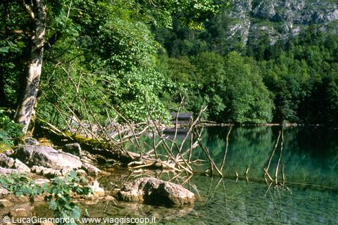 Obersee