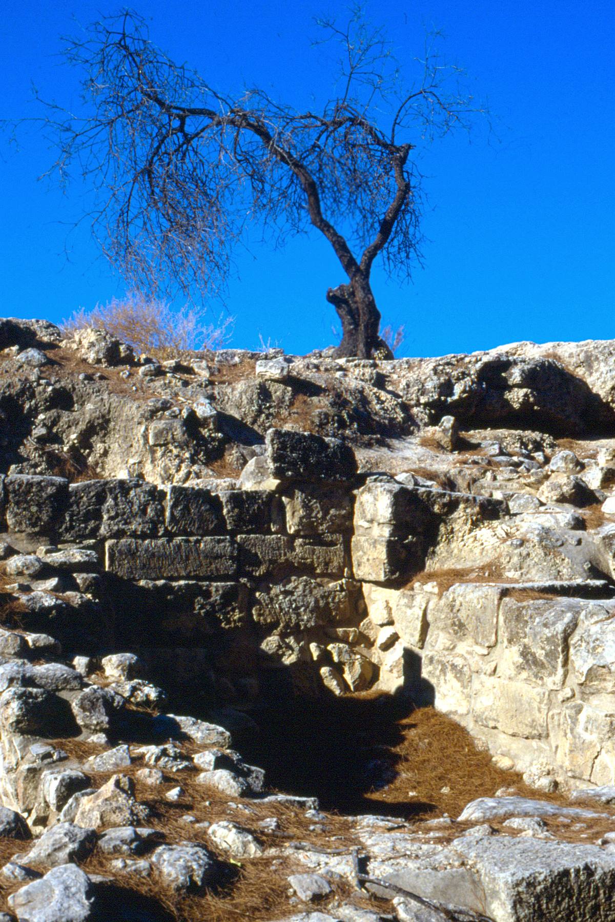 Creta - Festo