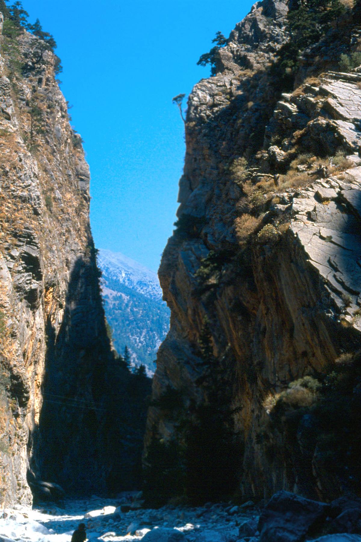 Creta - Gole di Samaria
