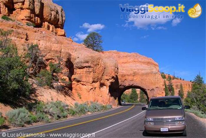Red Canyon