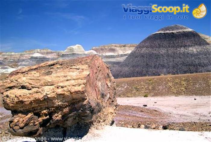 Petrified Forest National Park