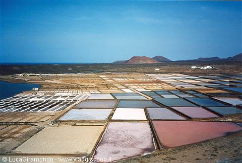 Saline di Lanzarote