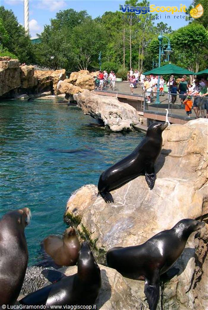 Sea World (Orlando)