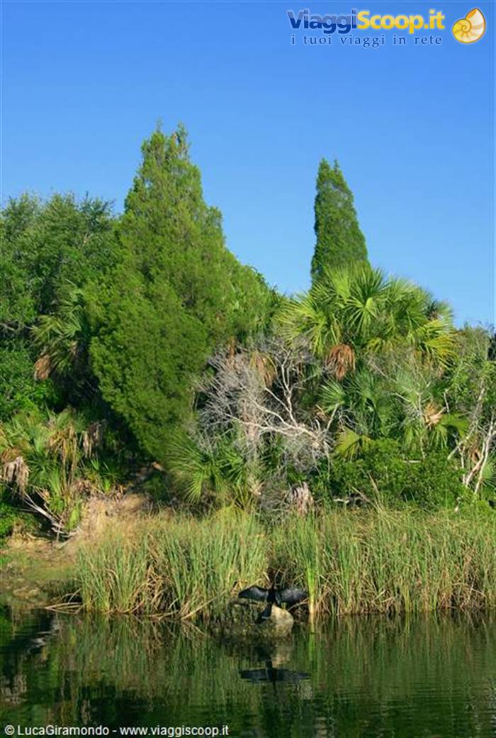Crystal River